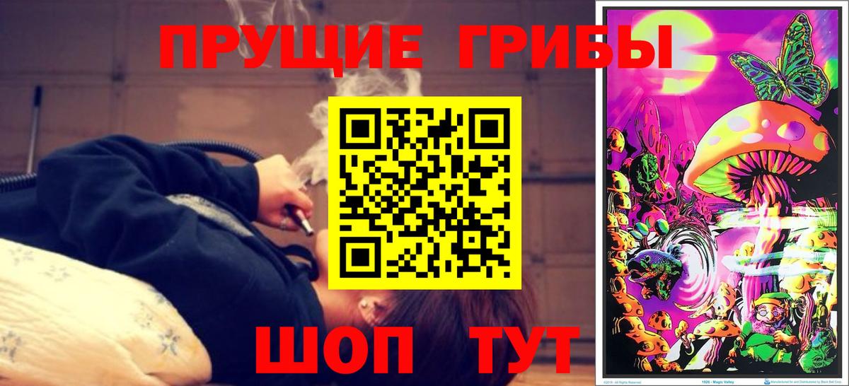 Галлюциногенные грибы мицелий Коммунар